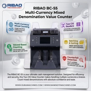 Ribao BC-55 Multi Currency Mixed Denomination Two CIS Value Counter